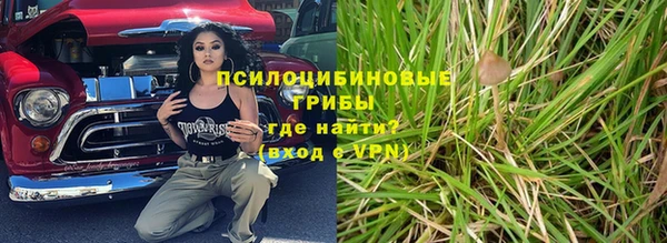 первитин Кукмор