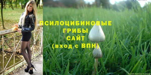 прущая мука Кулебаки
