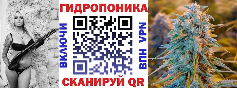 сколько стоит  KRAKEN рабочий сайт  Канабис ГИДРОПОН  Шимановск 